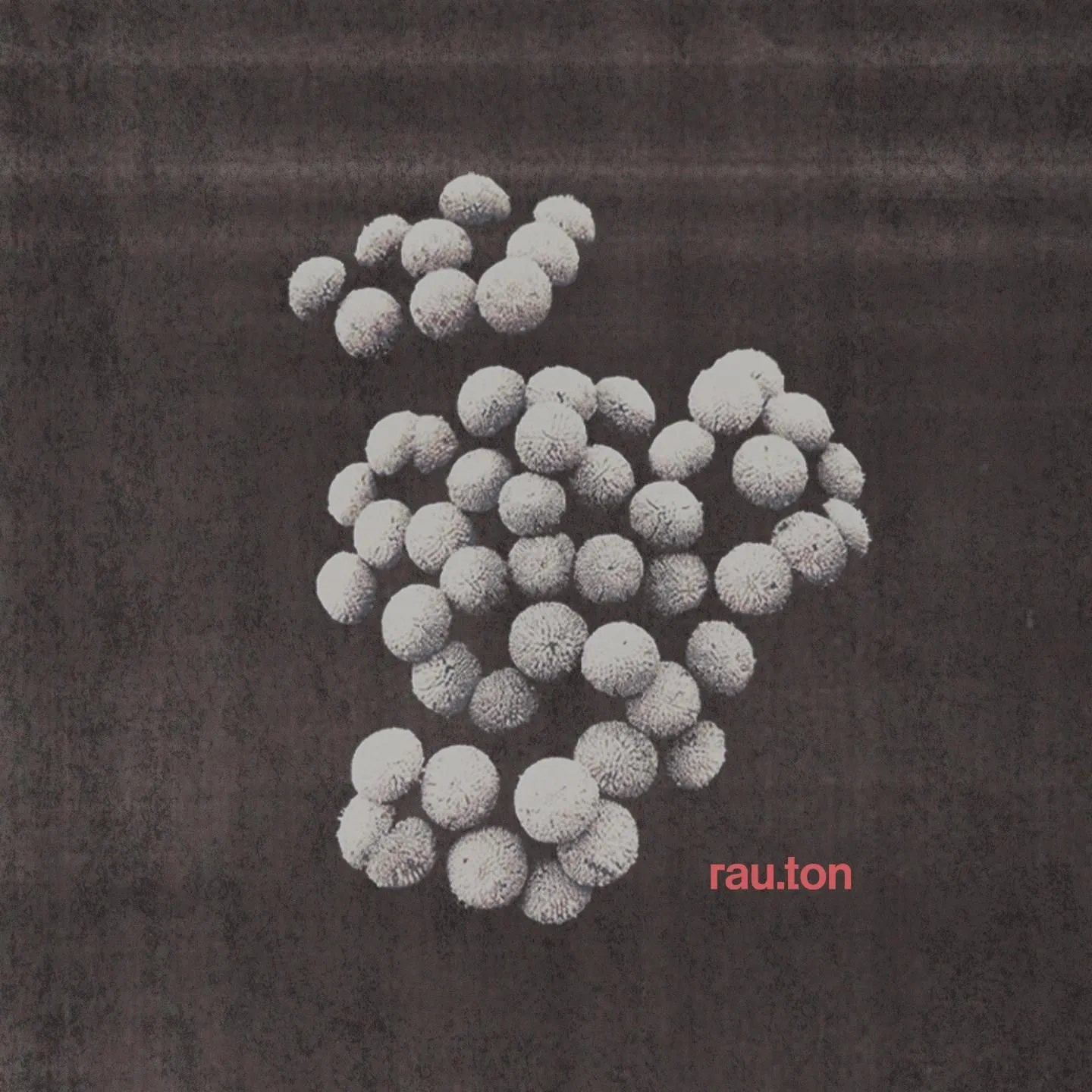 Rau.Ton