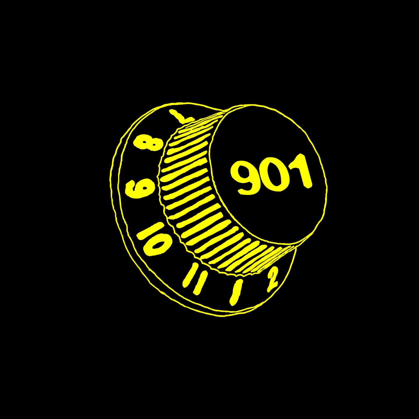 Project 901