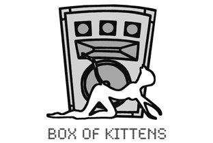 Box Of Kittens