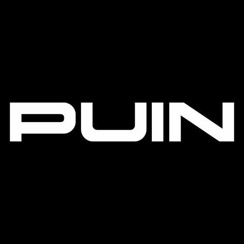 Puin