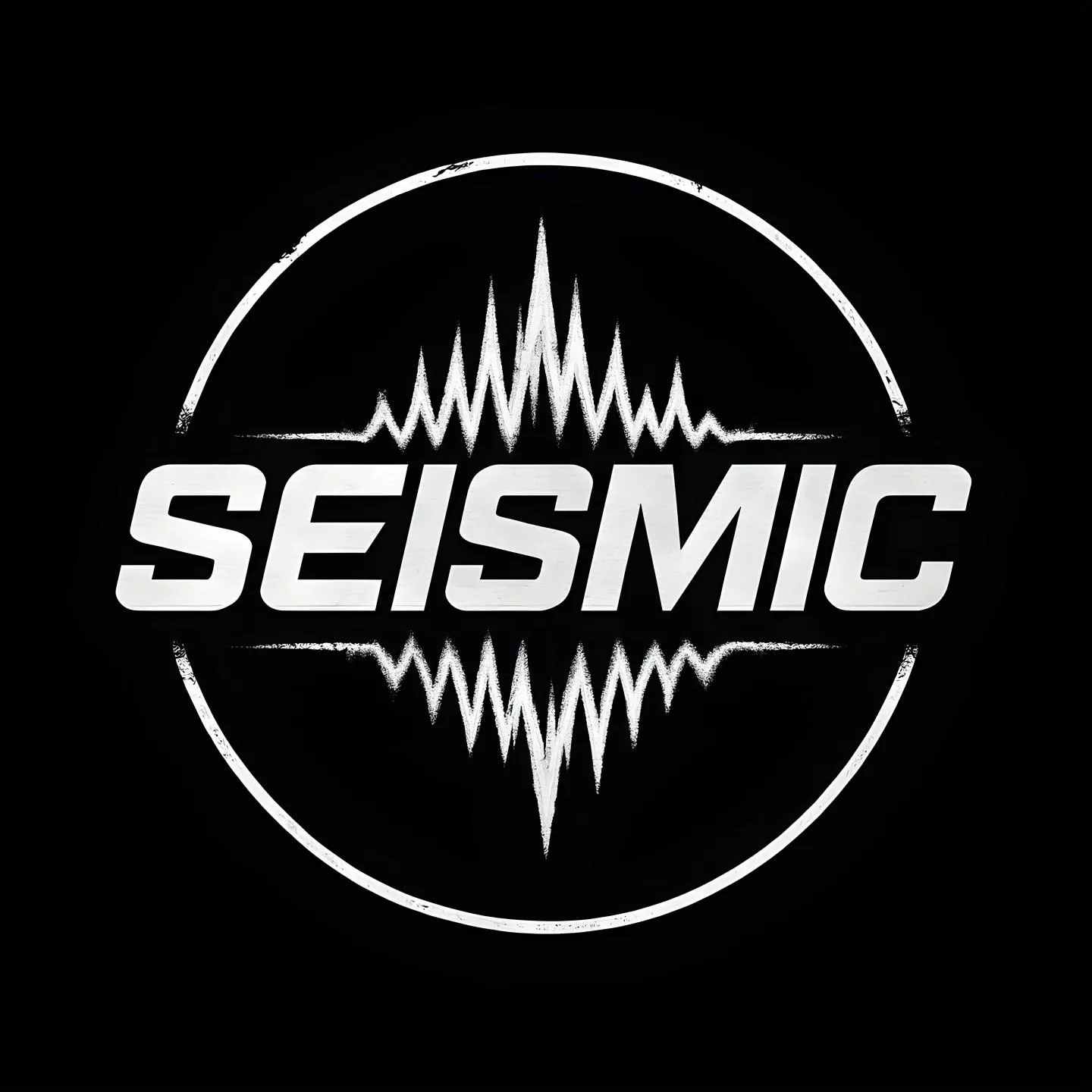 Seismic Kollektiv