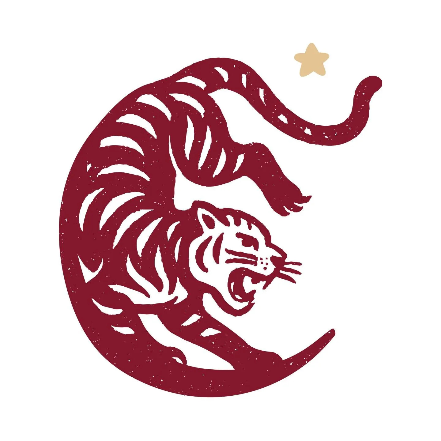 Tigres De La Noche