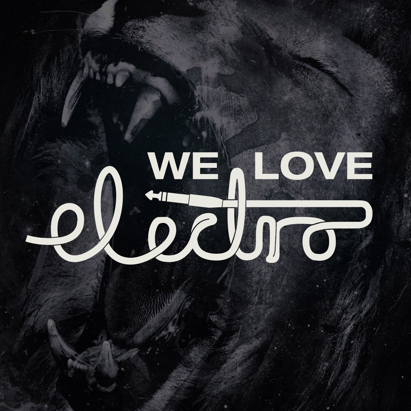 We Love Electro