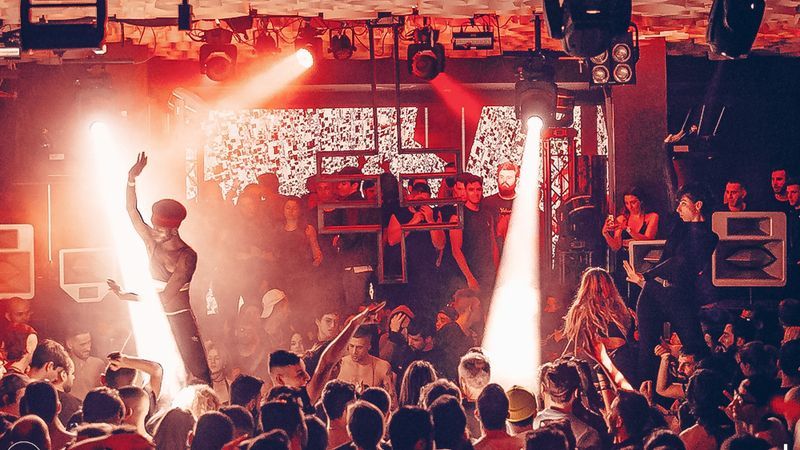 Safari Disco Club