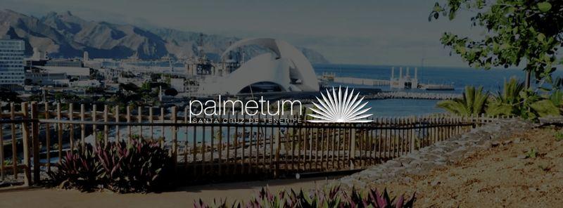 Palmetum Santa Cruz