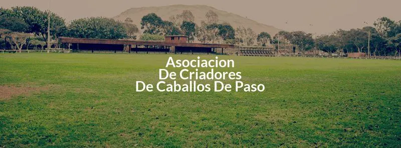 Asocaciacion  de Criadores De Caballos de Paso