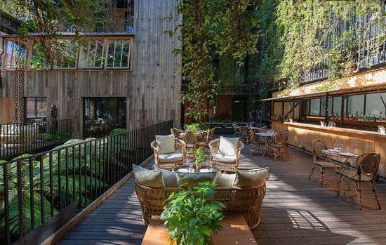 The Mandrake Hotel