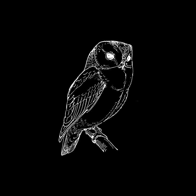 Nachtvogel