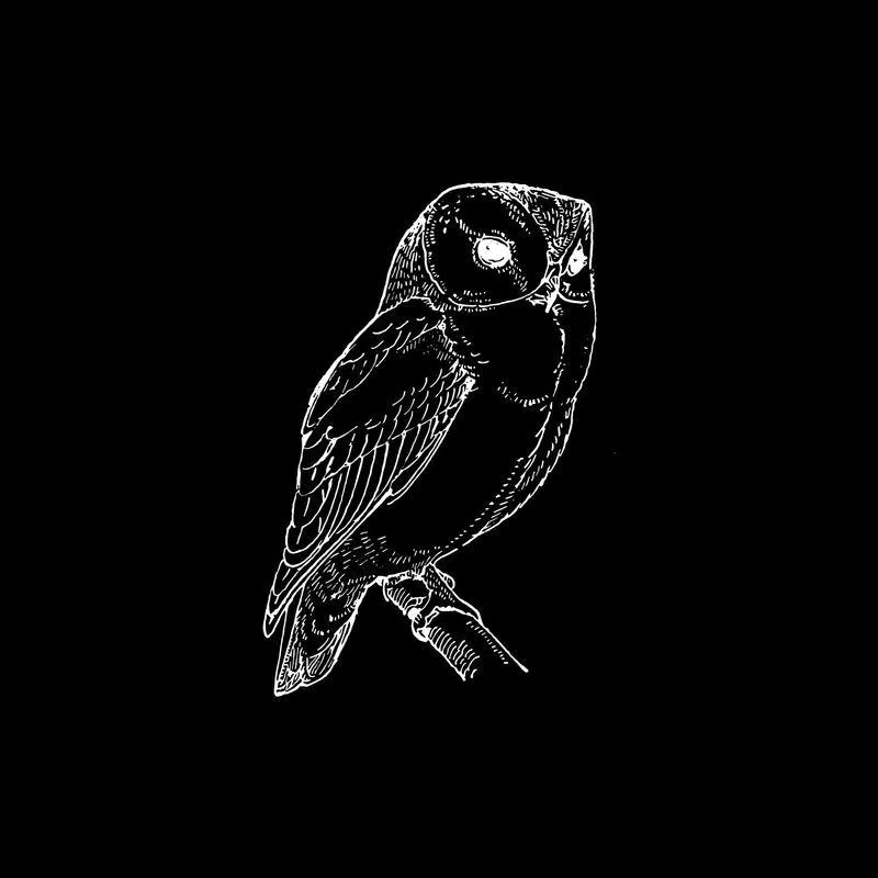 Nachtvogel