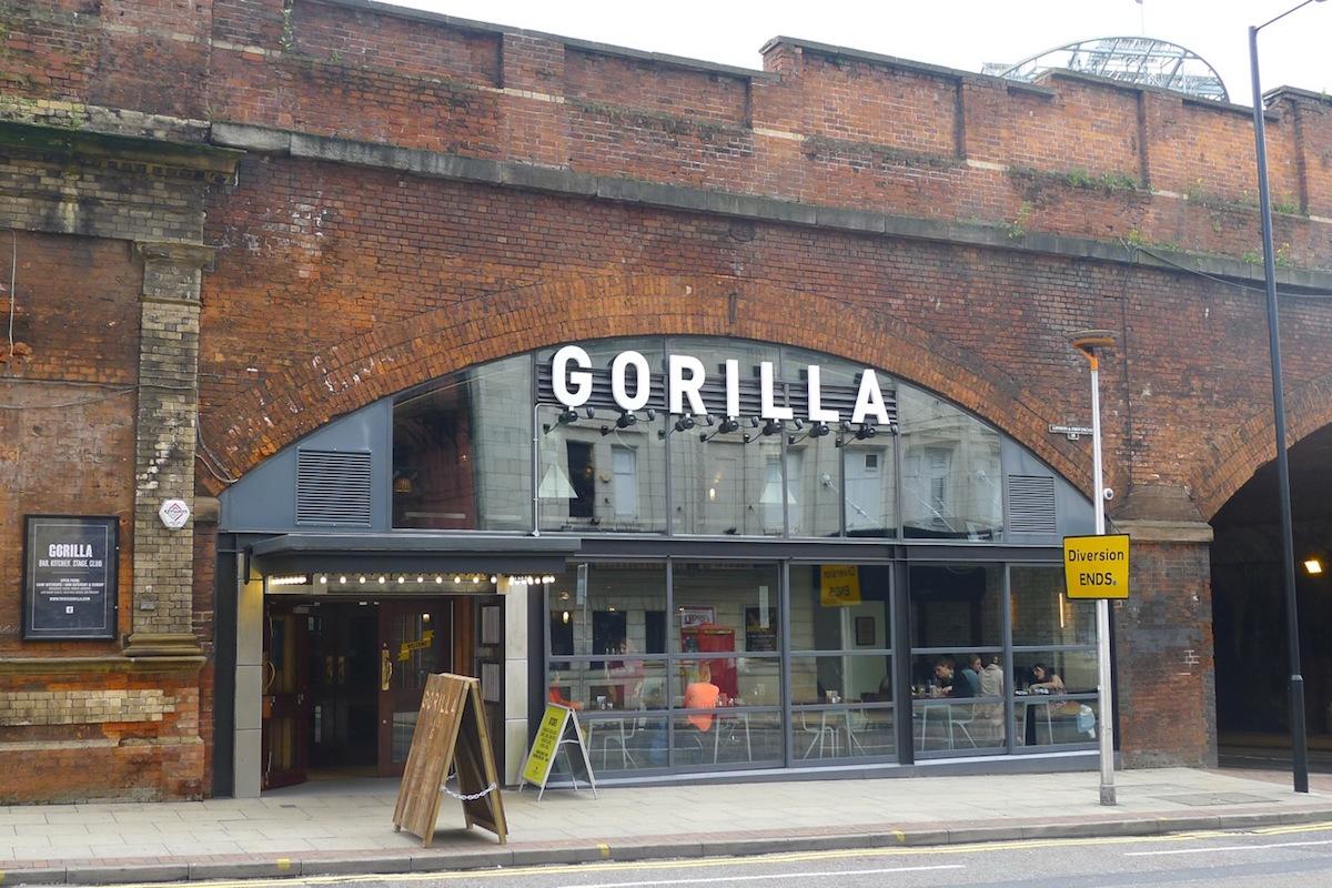 Gorilla
