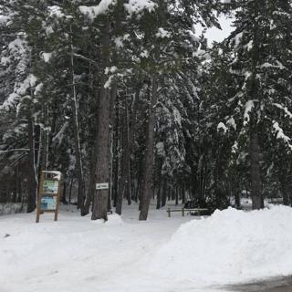 Pineta Rocca Di Mezzo
