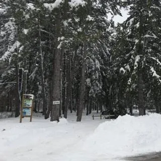 Pineta Rocca Di Mezzo