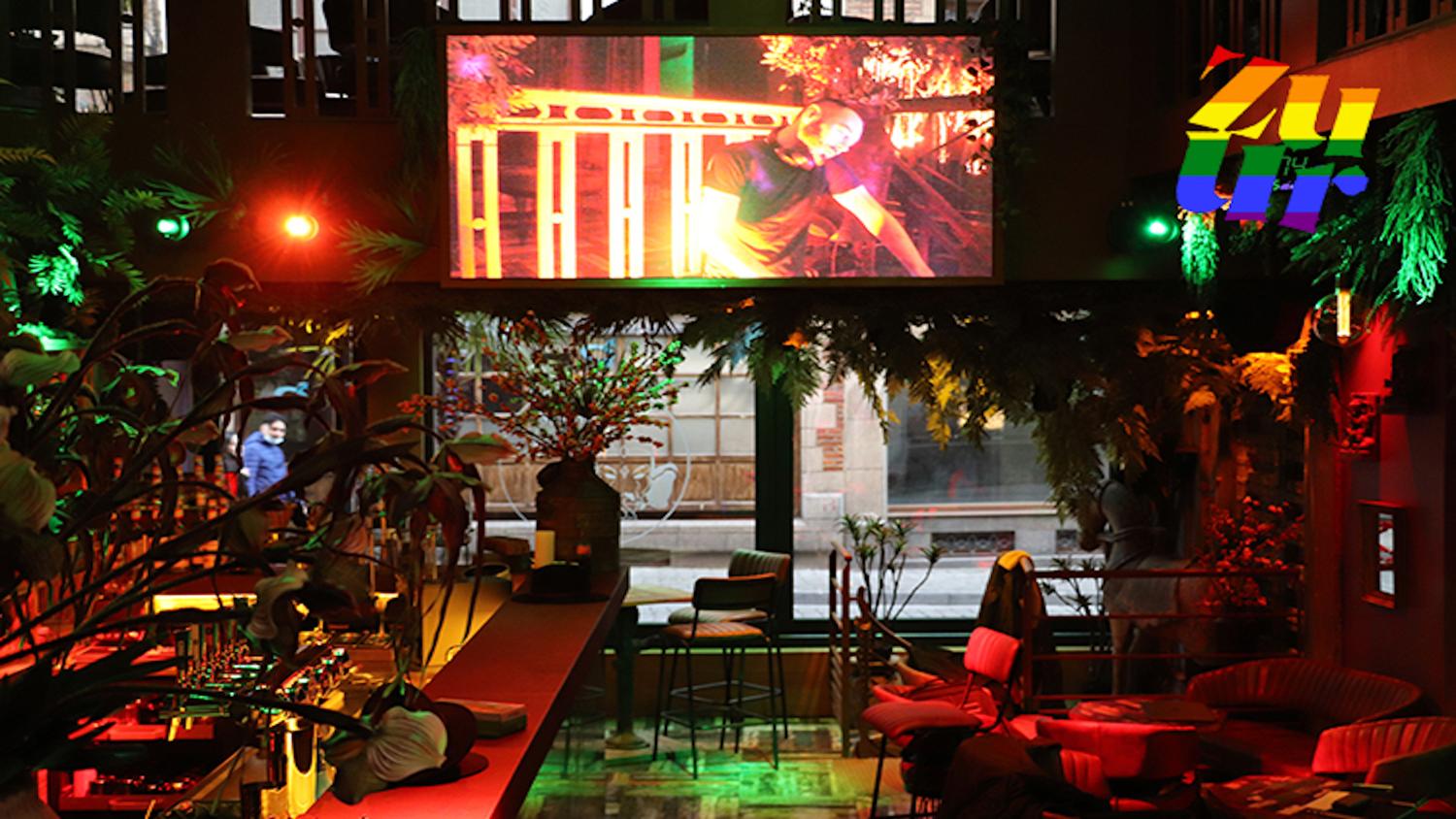 Jungle Bar
