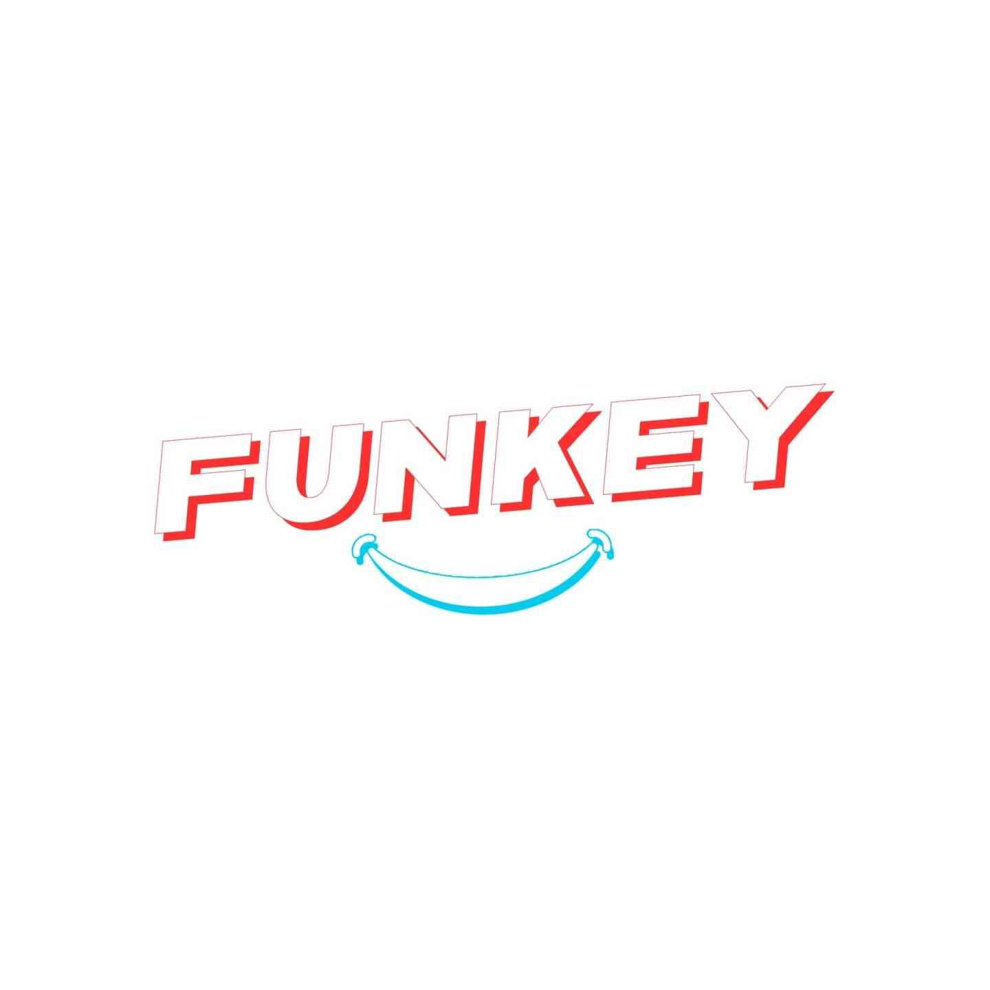 Funkey Floor