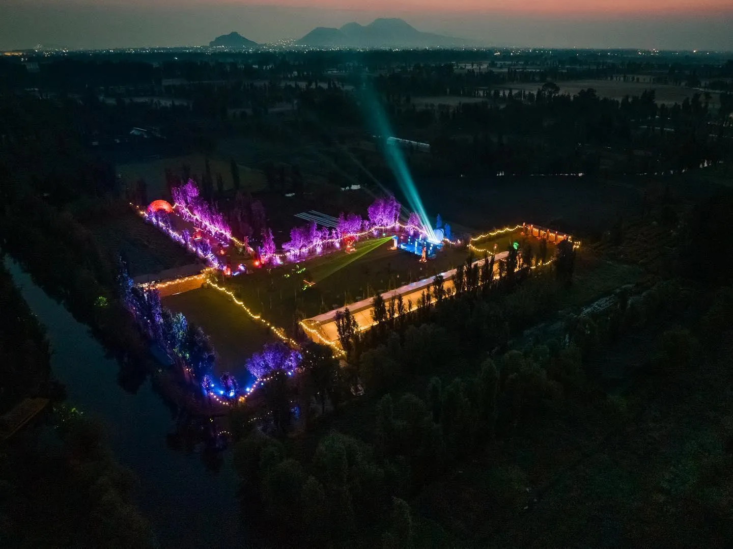 Sonic Jungle Festival