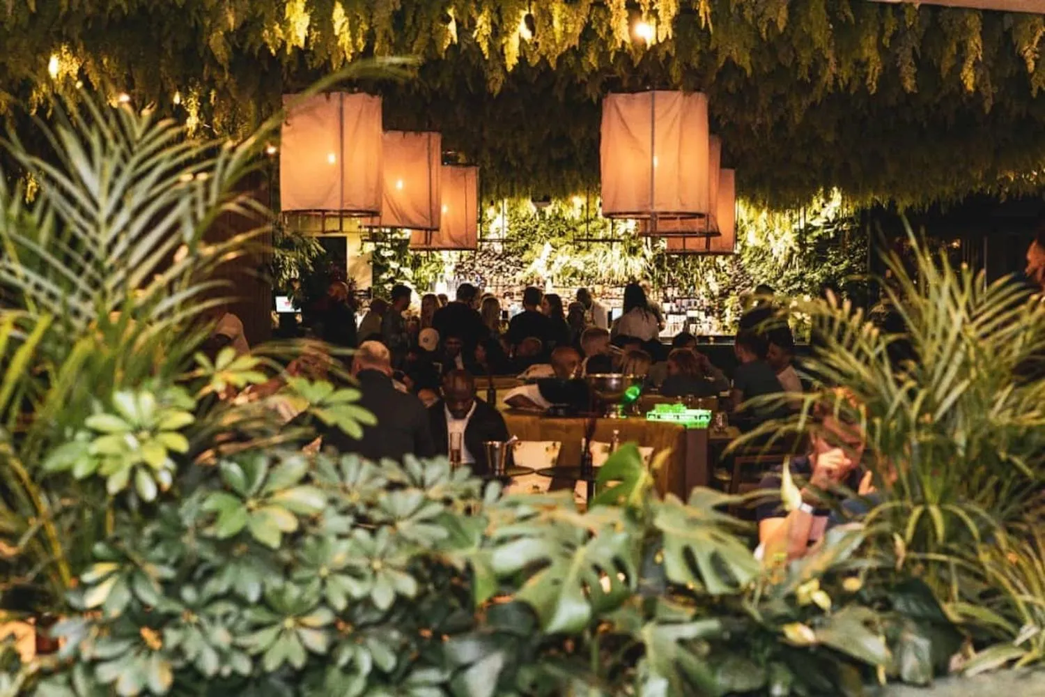 The Greenhouse