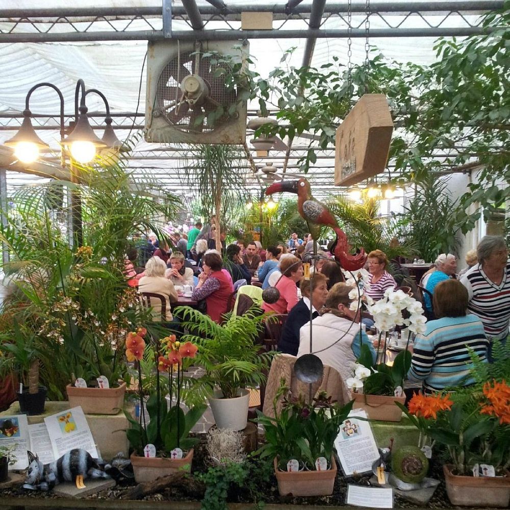 Café Orchidee