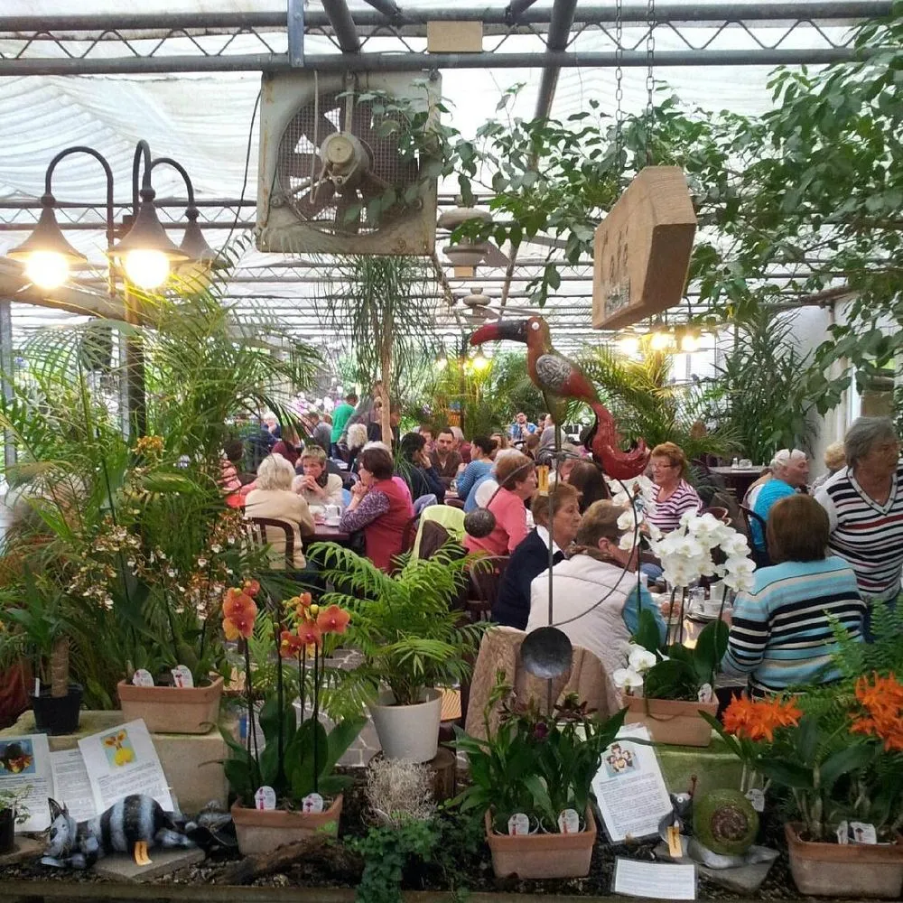 Café Orchidee