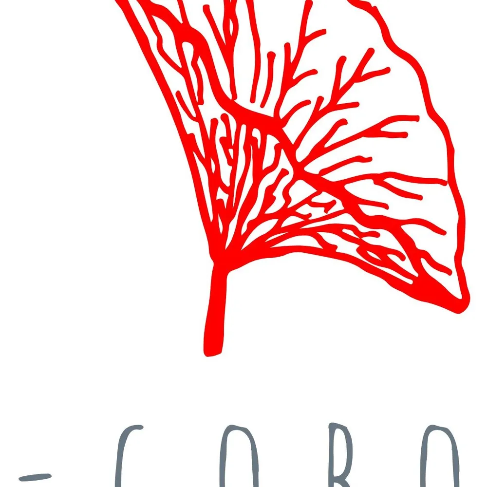 Bar Gobo